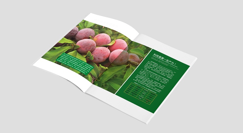 农业科技公司画册设计-农业机械产品宣传册设计图片a4