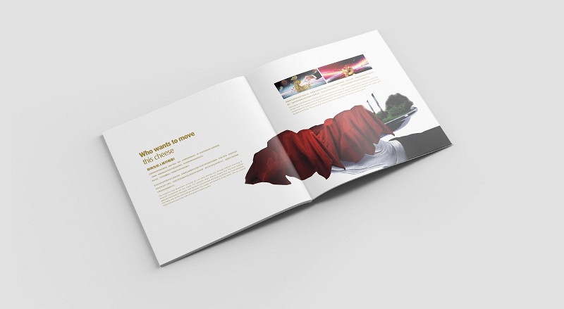 投资公司画册制作-投资集团宣传册设计图片a5