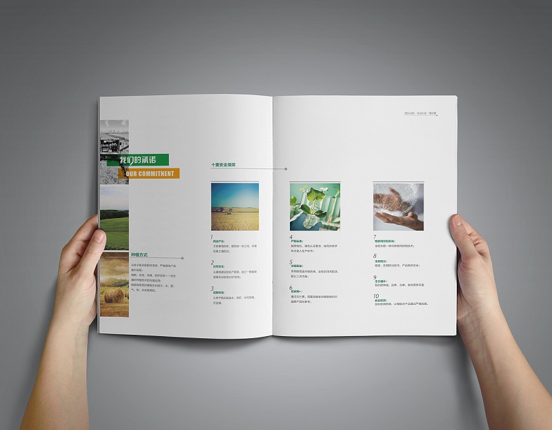 农产品画册设计-农业公司宣传册设计制作4