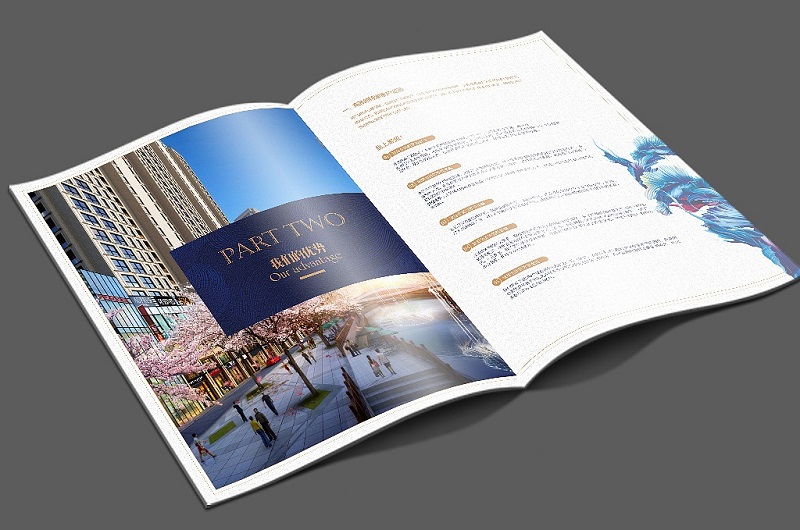 房产介绍画册设计-地产宣传手册设计制作3